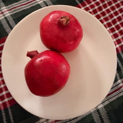 Guest review image 2 of 3, zoom in