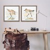 Stupell Industries Sea Birds on Shore, 25" x 25" - 2 of 4
