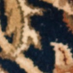 blue/gold