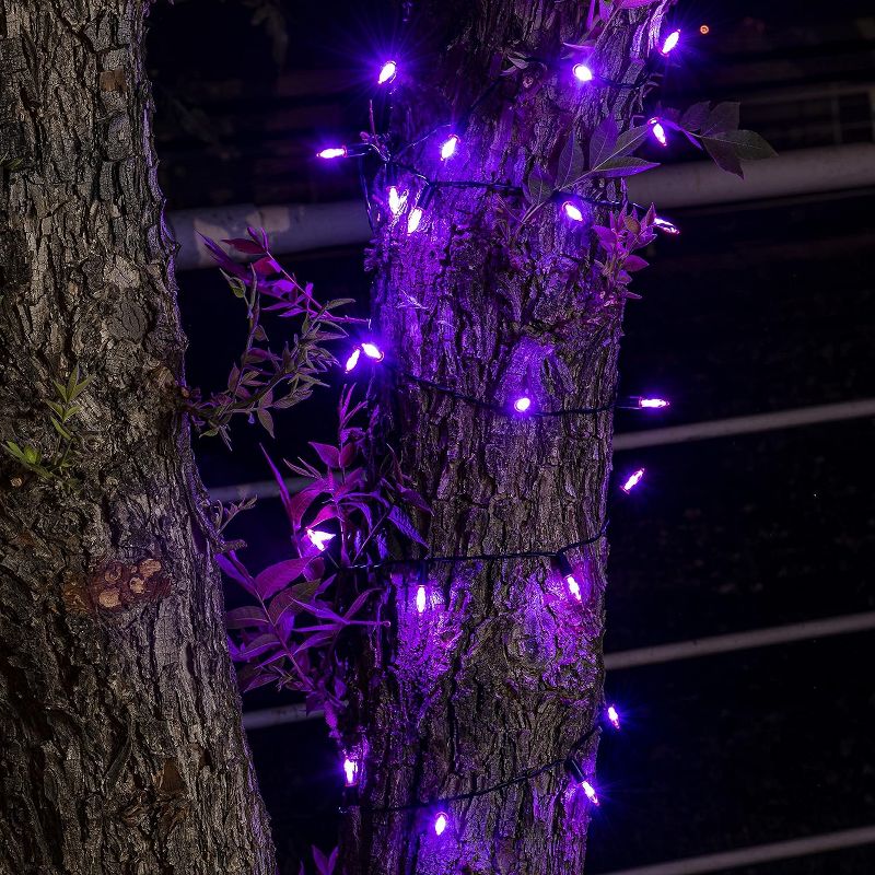 Joiedomi 2 Sets of 50 Purple String Lights, 5 of 6