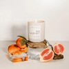 Sweet Water Decor Pink Grapefruit 15oz Tan Matte Jar - 2 of 3