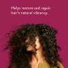 Native Blackberry & Green Tea Strengthening Hair Shampoo - 16.5 fl oz - 3 of 4