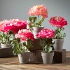 Sullivans Artificial 7" Potted Peony Crate of 12 - 3 of 4