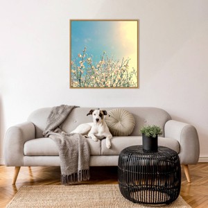 Amanti Art Springing Pink I by Olivia Joy Framed Wall Art Print - 1 of 4