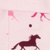 show horse