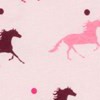 show horse