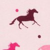 show horse