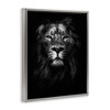 Stupell Industries Lion In Shadows Photography Floating Frame Canvas Art, Gray, 17" x 21" - 2 of 4