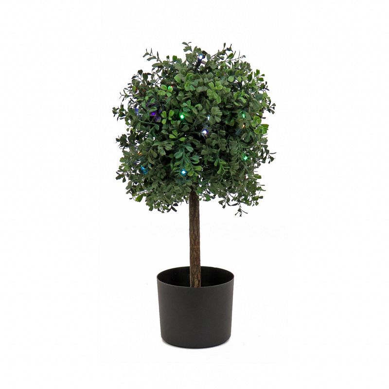 National Tree Company 24&#34; Boxwood Single Ball Topiary with Multi-Function LED Lights Artificial Tree, 1 of 7