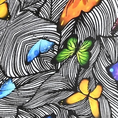 butterfly
