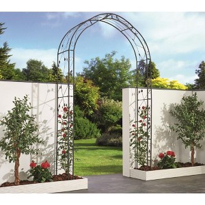 Tierra Garden Rosetta Garden Arch - 1 of 3