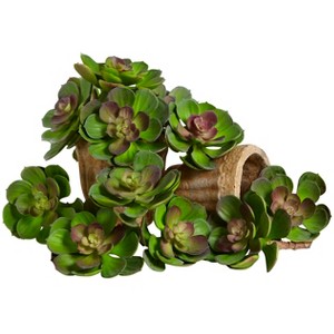 Nearly Natural 5-in Echeveria Succulent Plant (Set of 12), Green/Burgundy - 1 of 4