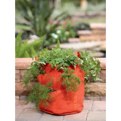 Gardener’s Best® Strawberry and Herb Grow Bag - Gardener's Supply Company