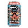 Dogfish Head Festina Peche Ale Seasonal Beer - 6pk/12 fl oz Cans - 2 of 3