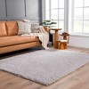 Hauteloom Faina Solid Light Gray Shag Washable Area Rug - 4 of 4