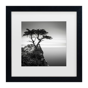 "The Lone Cypress" Outdoor Canvas - 1 of 4