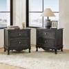 Set of 2 Galatea Traditional 24" Tall 2 - Drawer Nightstand with Two Drawers and Charging Station | KARAT HOME - 2 of 4
