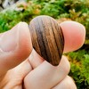 Thalia 358 Shape Rosewood Picks - 3 of 3
