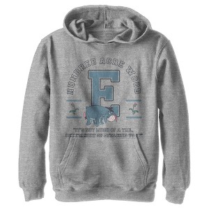 Boy's Winnie the Pooh Eeyore 100 Acre Woods Jersey Pull Over Hoodie - 1 of 4