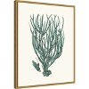 Amanti Art Antique Coastal Coral VIII by Johann Esper Framed Canvas Wall Art - 3 of 4