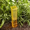 Taylor Bamboo Leaf Outdoor Thermometer & Rain Gauge, Weather-Resistant with Tempered Glass, UV Fade-Resistant, Wide Temperature Range - 3 of 4