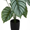 GlasFlength Artificial Plants Artificial Rubber Tree Artificial Calathea Tree Faux Plants for Indoor Home Decor, Green, 20"*20"*23.5" - 4 of 4