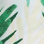 palm leaves - 5 ft 5 in & taller