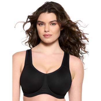 Felina Paramour Amaranth Plush T-Shirt Bra w/Sheer Details 2-Pack :  : Clothing, Shoes & Accessories
