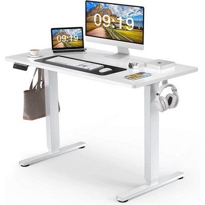 48x24in Electric Standing Desk With 2 Rear End Wiring Holes, Hook Adjustable Height Stand Up Desk, Memory Computer Workstation Desk For Office