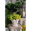 Chery Life Sand and Cement Coral Planter with Textured Beige Finish - 2 of 4