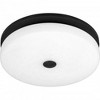 Quoizel Lighting Tavani 1 - Light Flush Mount in  Matte Black - 3 of 4