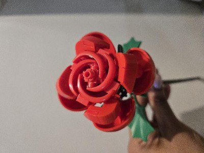 MAX Build More Rose Collection Capsule (Limited Edition) : Target