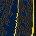 tampa bay rays