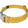 Country Brook Petz Premium Dog Collar - Spring Collection - 2 of 4