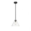 Millennium Lighting Aliza 1 - Light Pendant in  Matte Black - 4 of 4