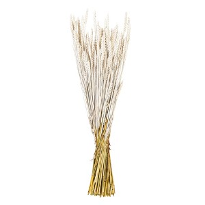 Vickerman 26" Dried Wheat Tarwe Triticum Bunch. This is a natural product, dimensions and color may vary plant to plant. - 1 of 3