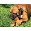 Pawstruck Natural Jumbo Pig Ears Chews for Dogs  | Premium Pork Treats Made In USA | Supports Dental Health | No Artificial Ingredients - 3 of 4