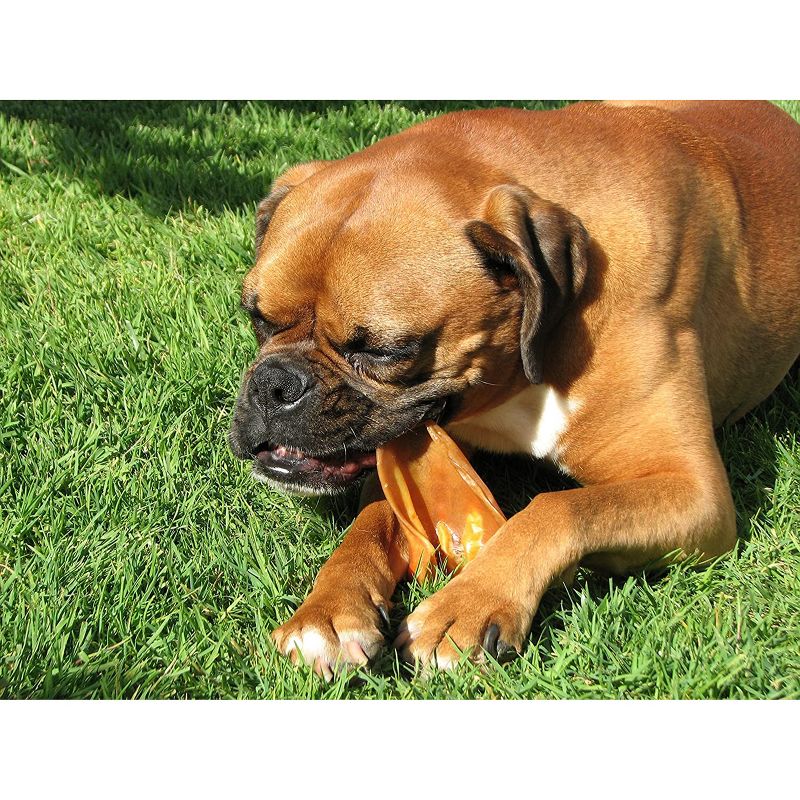 Pawstruck Natural Jumbo Pig Ears Chews for Dogs  | Premium Pork Treats Made In USA | Supports Dental Health | No Artificial Ingredients, 3 of 9