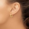 Black Bow Jewelry 2.75mm x 15mm Polished 14k Yellow Gold Domed Round Hoop Earrings - 3 of 4