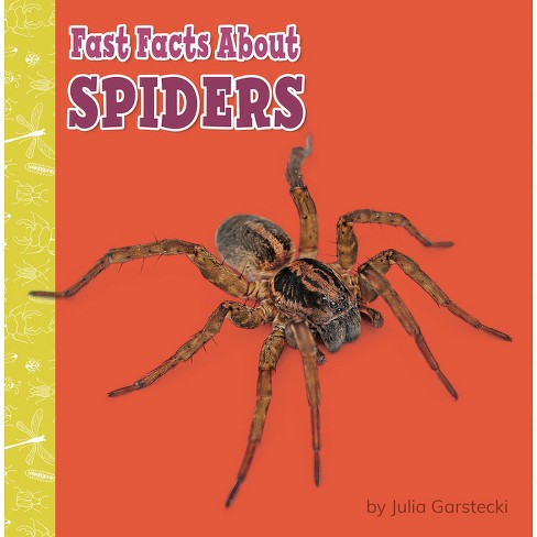 Fast Facts About Spiders - (fast Facts About Bugs & Spiders) By Julia ...