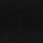 tampa bay buccaneers