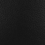 california golden bears