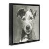 Stupell Industries Muted Dog with Quiet Expression, 25" x 25" - 3 of 4