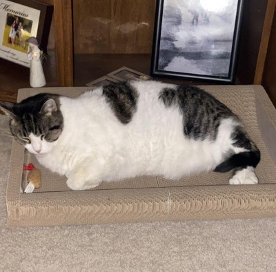 Guest review image 1 of 2, zoom in