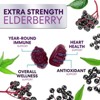 Elderberry Gummies Immune Support Gummy Vitamins C & Zinc, Potent Black Sambucus - 60 Gummies By Nature's Nutrition - 4 of 4