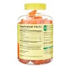Spring Valley Extra Strength Vitamin C Gummies, 500 mg, 120 Ct | Immune Support - 4 of 4