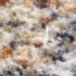 beige, camel, medium gray, medium brown
