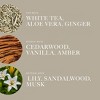 Aroma360 Dream On Oil Blend - Aromatherapy Scent Diffuser Oil - Serene White Tea, Healing Aloe Vera, and Warm Earthy Cedar - 3 of 4