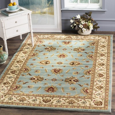 Blue and Ivory Floral Border Medium Pile Area Rug