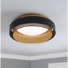 Dewdrop Modern Black and Gold Flush Mount Ceiling Light, Round Dimmable Fixture for Bedroom or Hallway - 2 of 4
